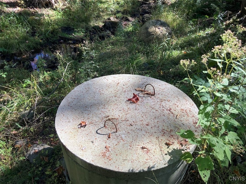 0 Joslyn Road Remsen, NY 13438 - Photo 18 of 25