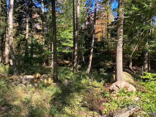 $174,900 | 0 Joslyn Road, Remsen, NY 13438