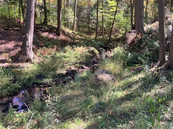 $174,900 | 0 Joslyn Road, Remsen, NY 13438