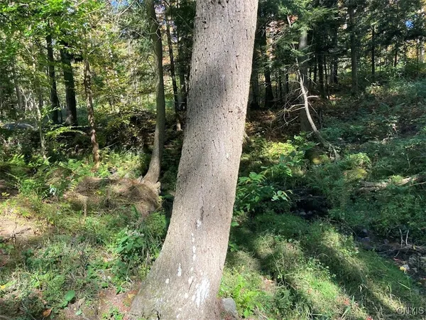 $174,900 | 0 Joslyn Road, Remsen, NY 13438