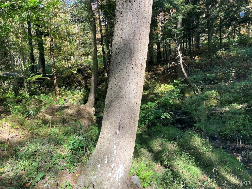 0 Joslyn Road Remsen, NY 13438 - Photo 21 of 25