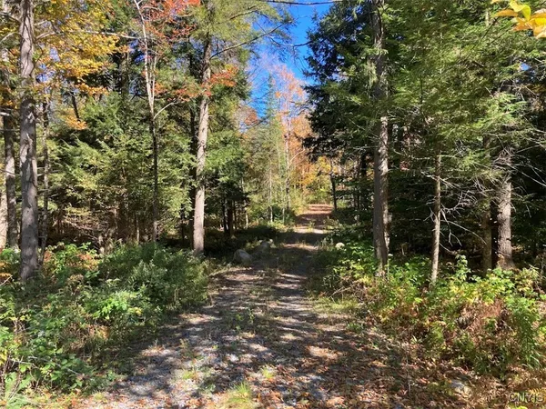 $174,900 | 0 Joslyn Road, Remsen, NY 13438