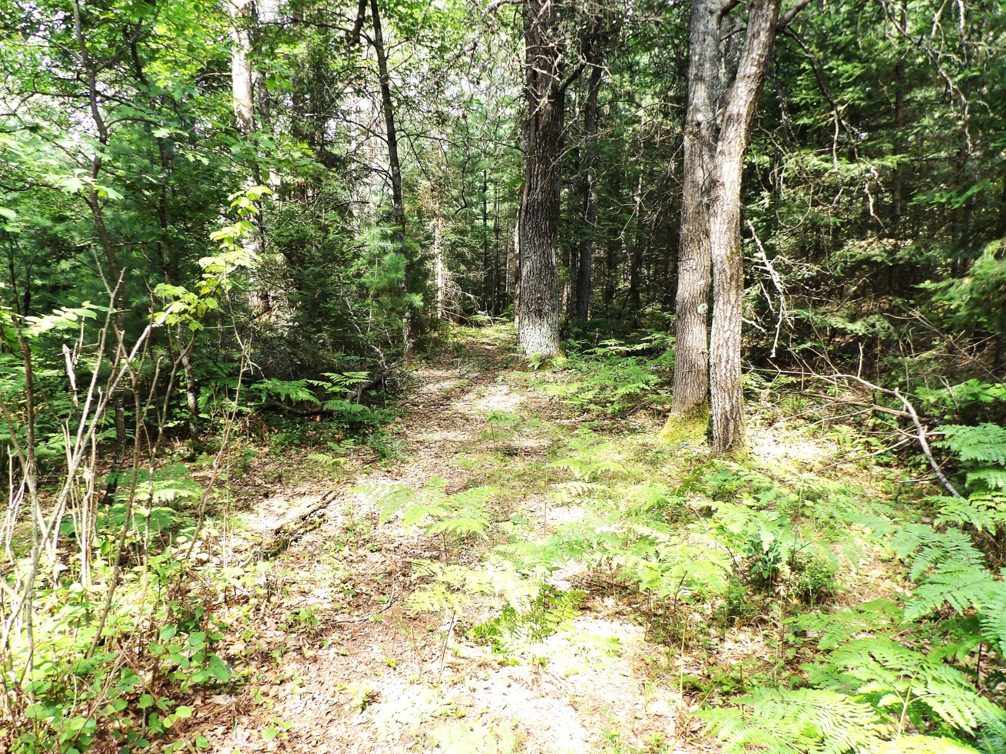 32-ac On Pine Lake Road Rhinelander, WI 54501 - Photo 17 of 27 Gallery Image 17