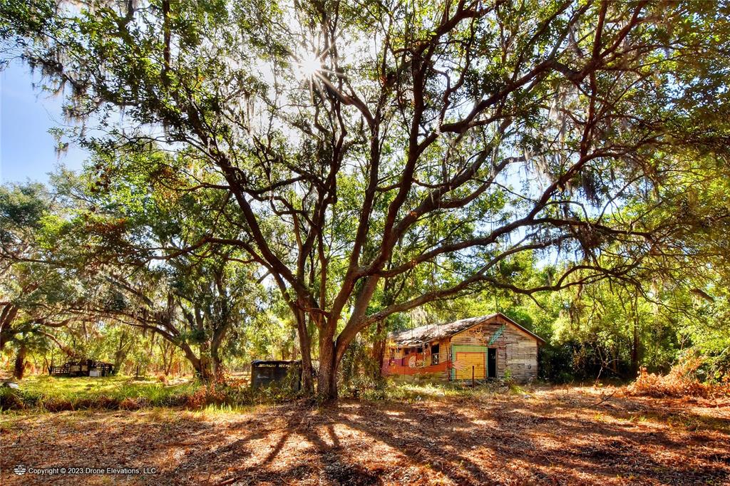 39 South County Road Lithia, FL 33547 - Photo 1 of 1 Gallery Image 1