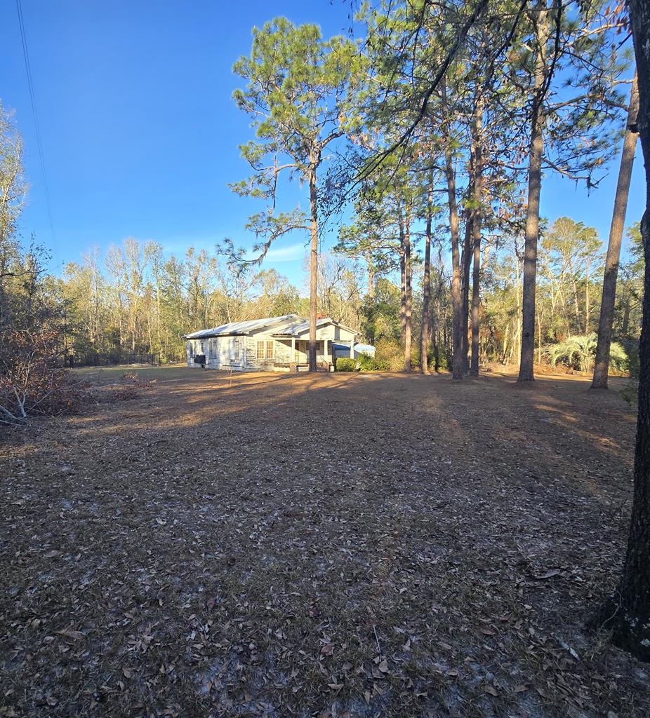 6389 Northeast Hickory Grove Road Pinetta, FL 32350 - Photo 4 of 39 Gallery Image 4