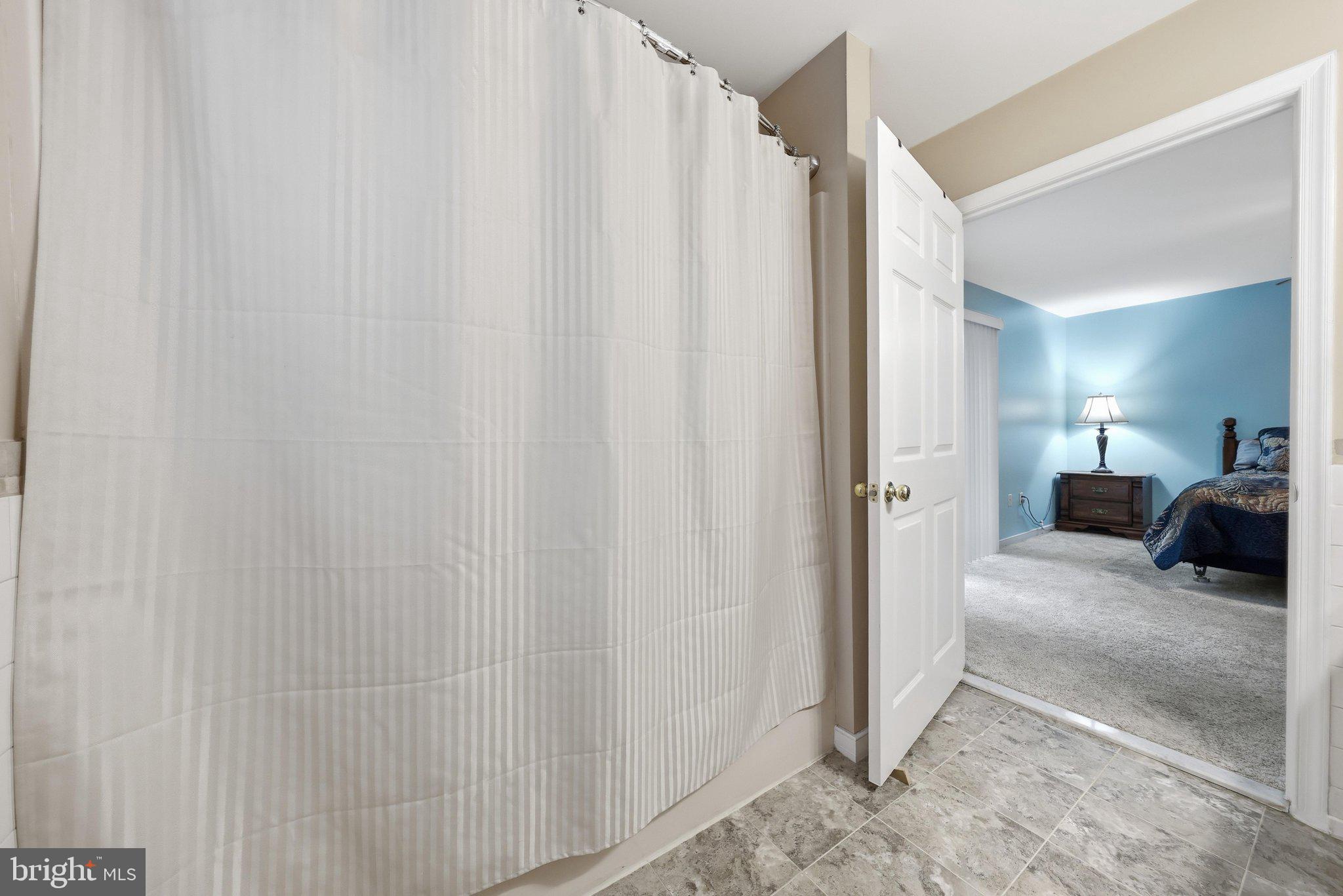 18664 Rivergate Road Keedysville, MD 21756 - Photo 20 of 49 Primary Bathroom