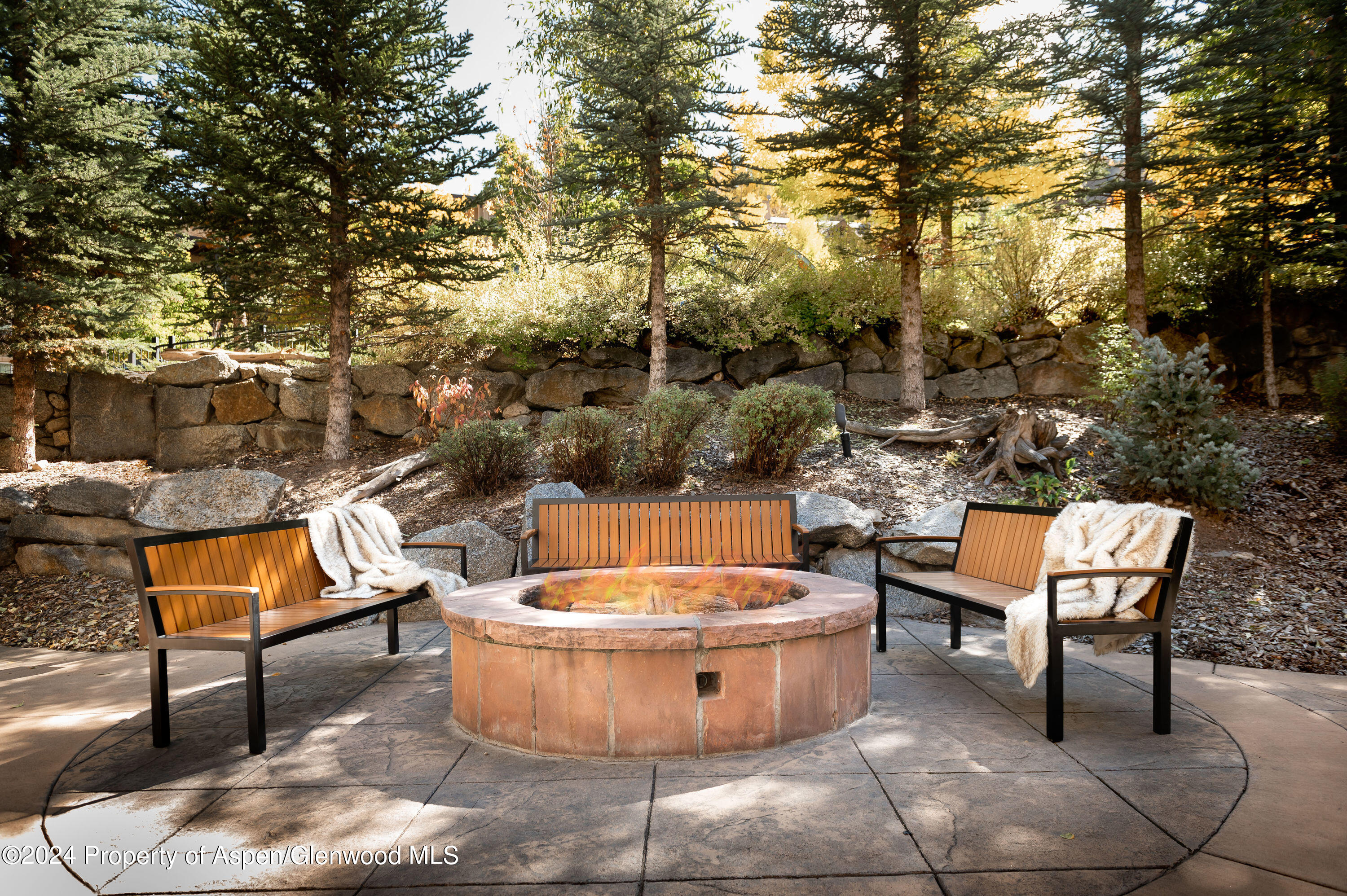 400 East Dean Street, Unit 9AB Aspen, CO 81611 - Photo 18 of 31 Fire Pit