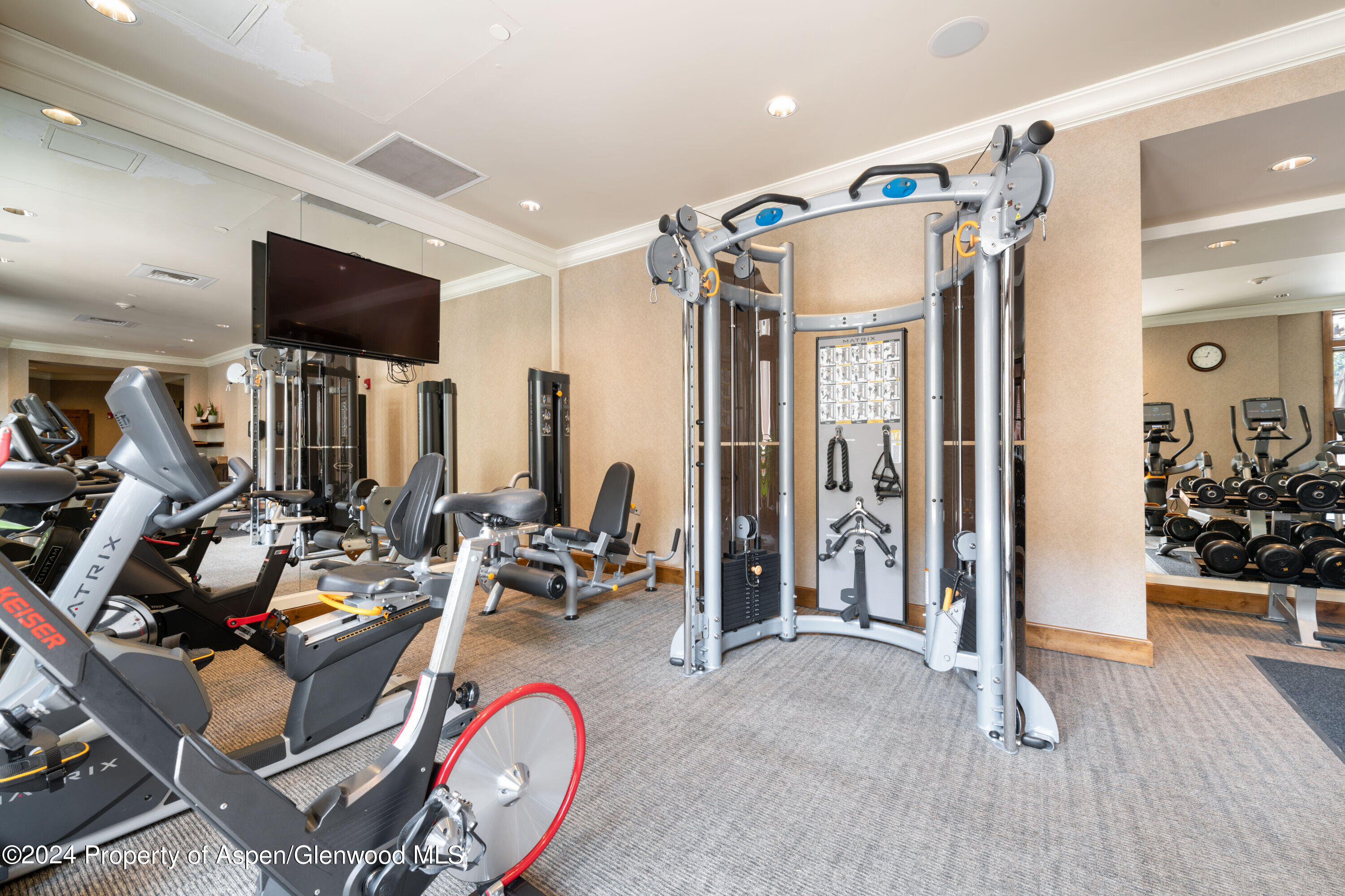400 East Dean Street, Unit 9AB Aspen, CO 81611 - Photo 20 of 31 Fitness Center
