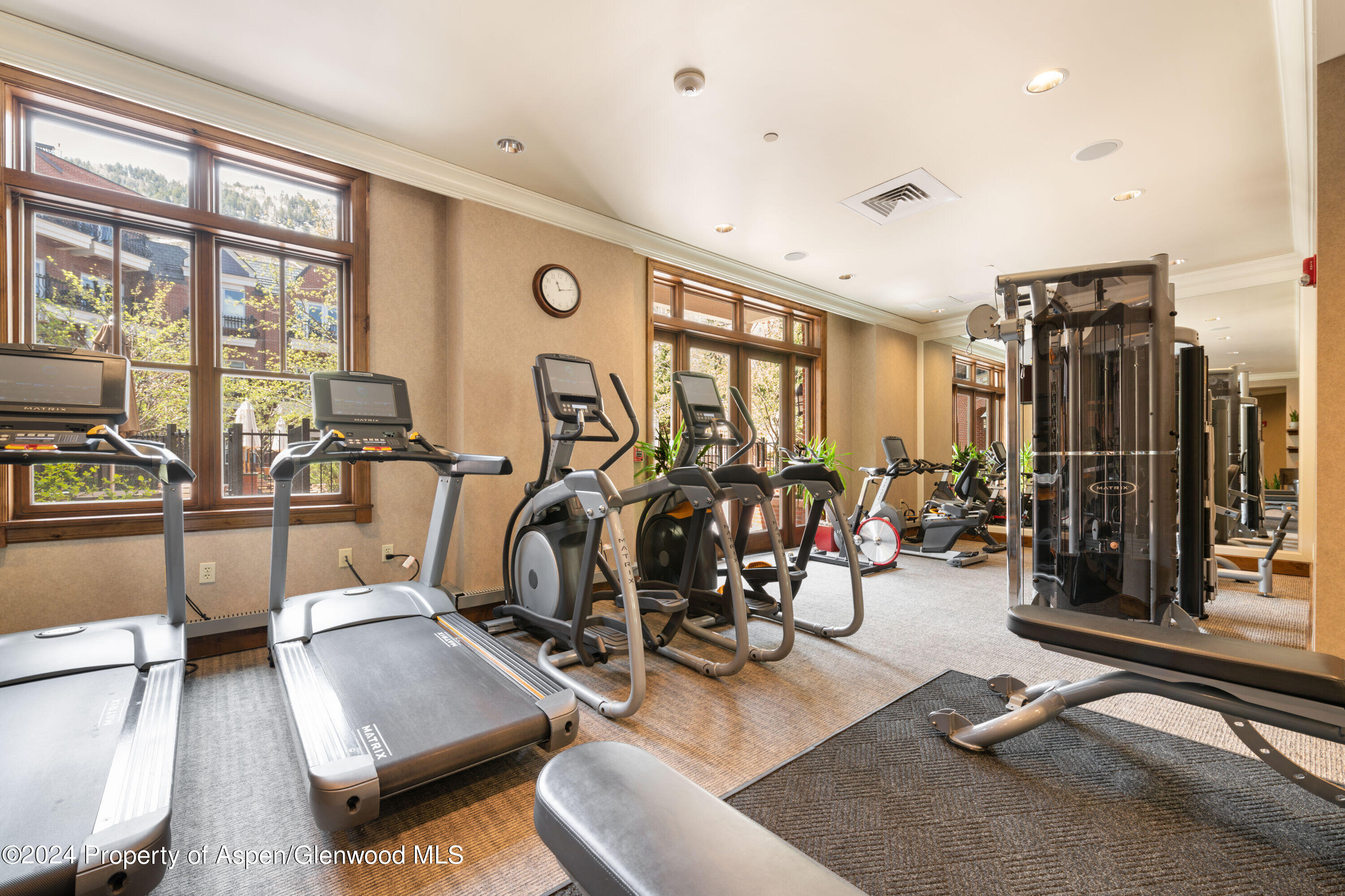400 East Dean Street, Unit 9AB Aspen, CO 81611 - Photo 22 of 31 Fitness Center