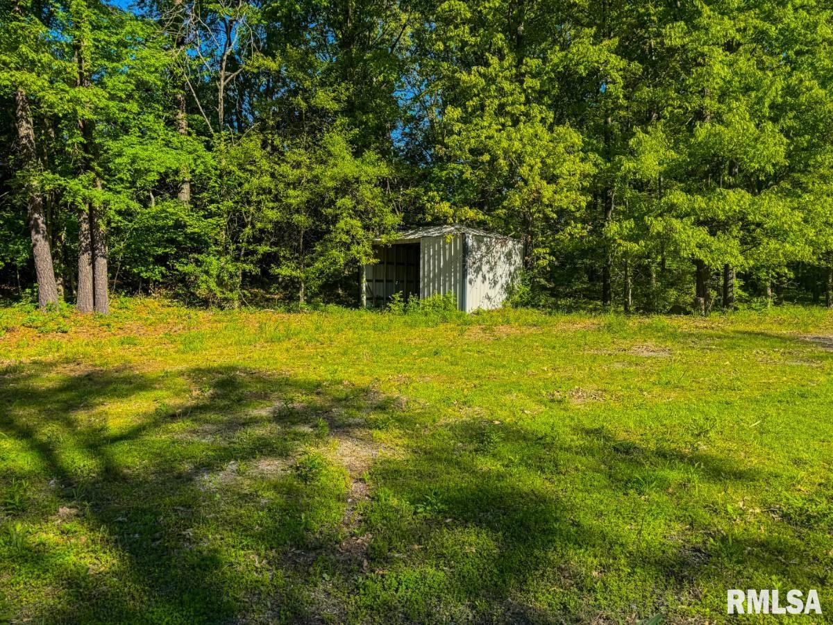 0 Herrin Road Carterville, IL 62918 - Photo 12 of 23