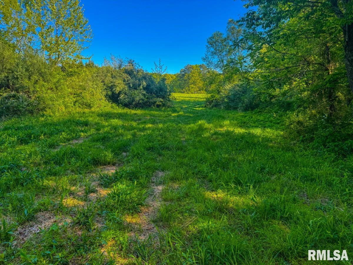 0 Herrin Road Carterville, IL 62918 - Photo 15 of 23