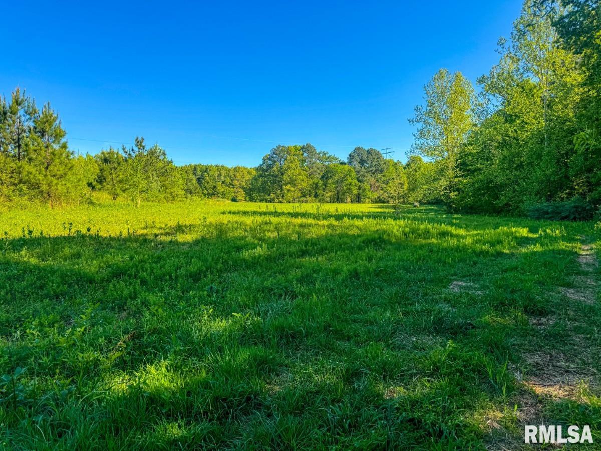 0 Herrin Road Carterville, IL 62918 - Photo 16 of 23