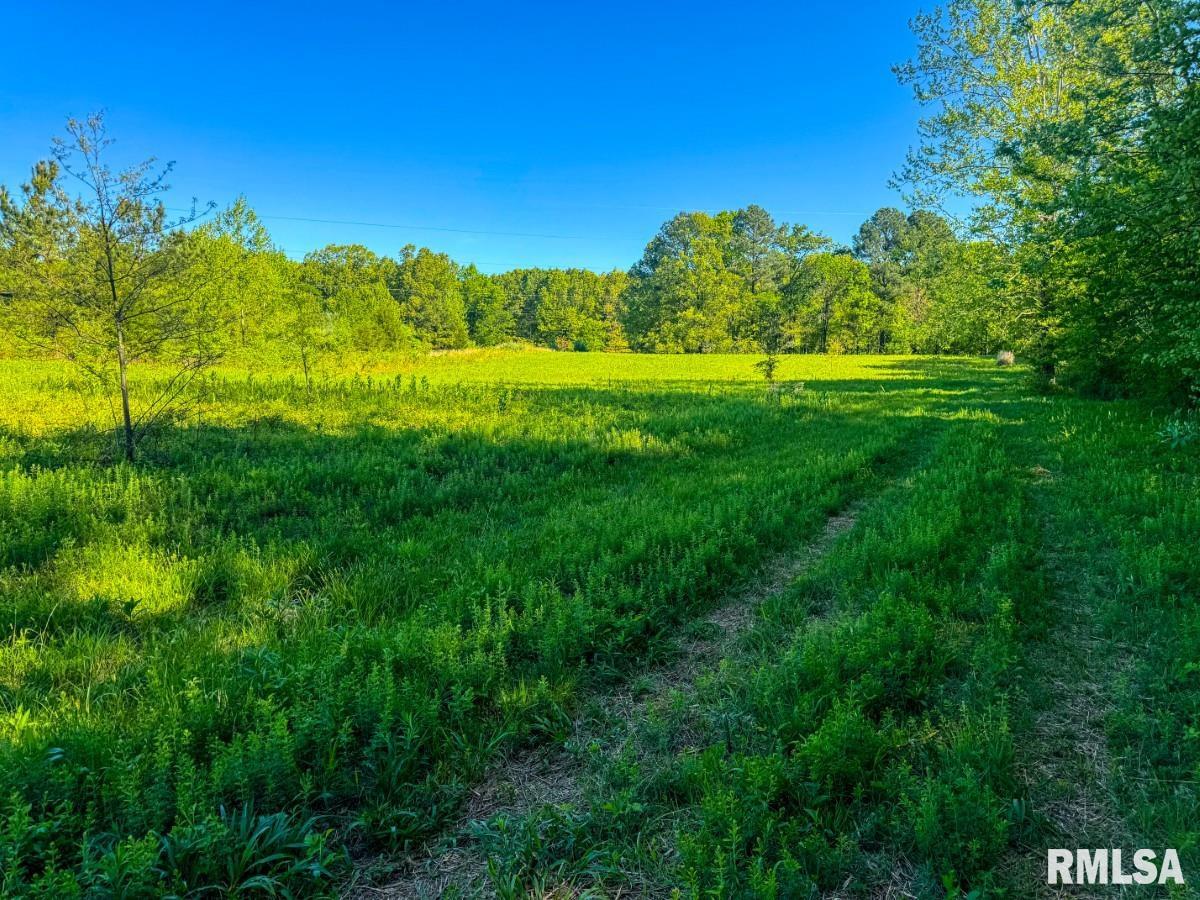 0 Herrin Road Carterville, IL 62918 - Photo 17 of 23