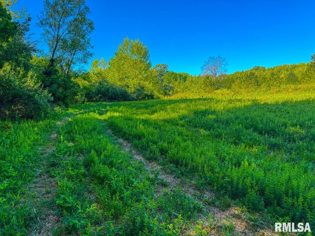 0 Herrin Road Carterville, IL 62918 - Photo 18 of 23