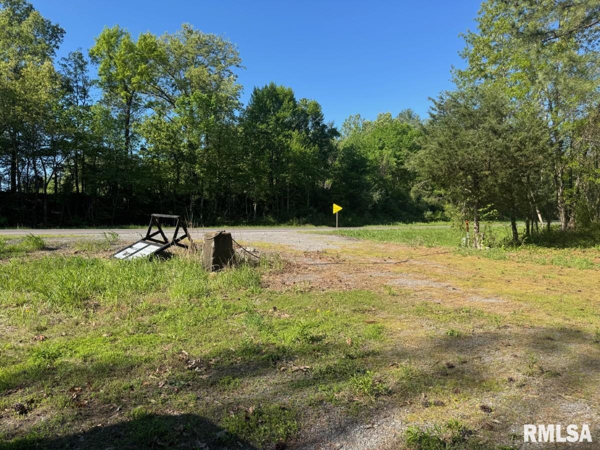 0 Herrin Road Carterville, IL 62918 - Photo 2 of 23
