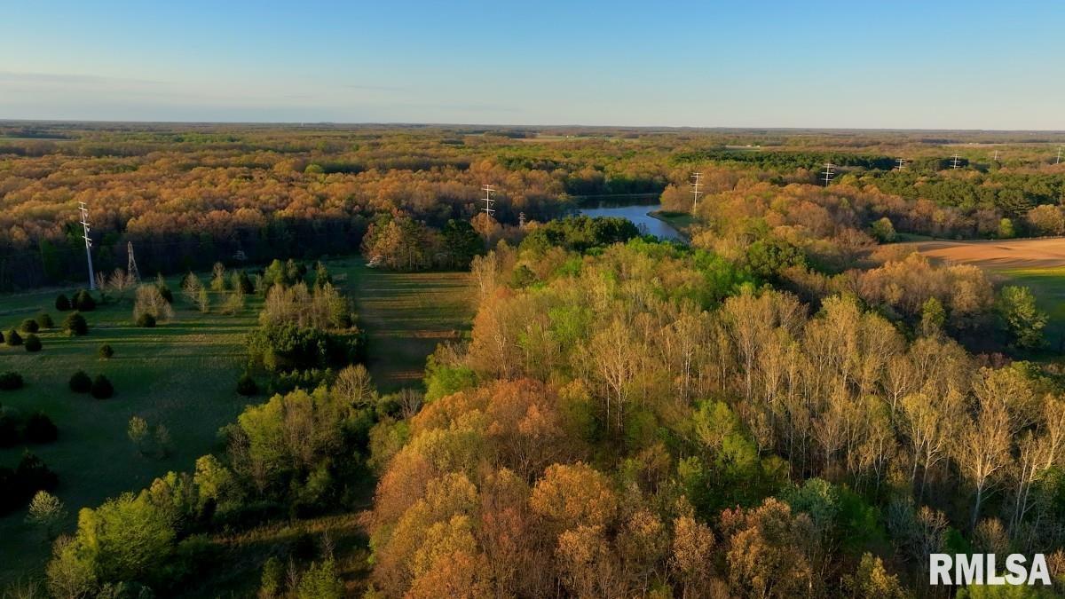 0 Herrin Road Carterville, IL 62918 - Photo 22 of 23