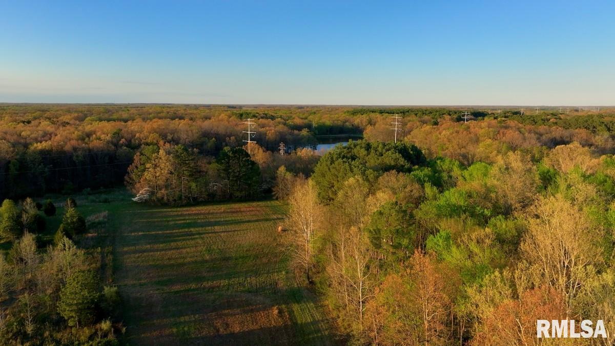 0 Herrin Road Carterville, IL 62918 - Photo 23 of 23