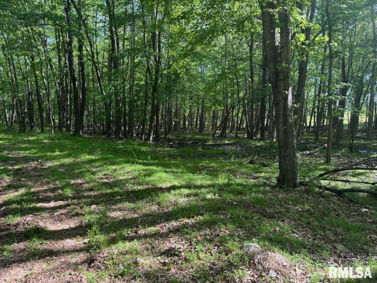 0 Herrin Road Carterville, IL 62918 - Photo 5 of 23