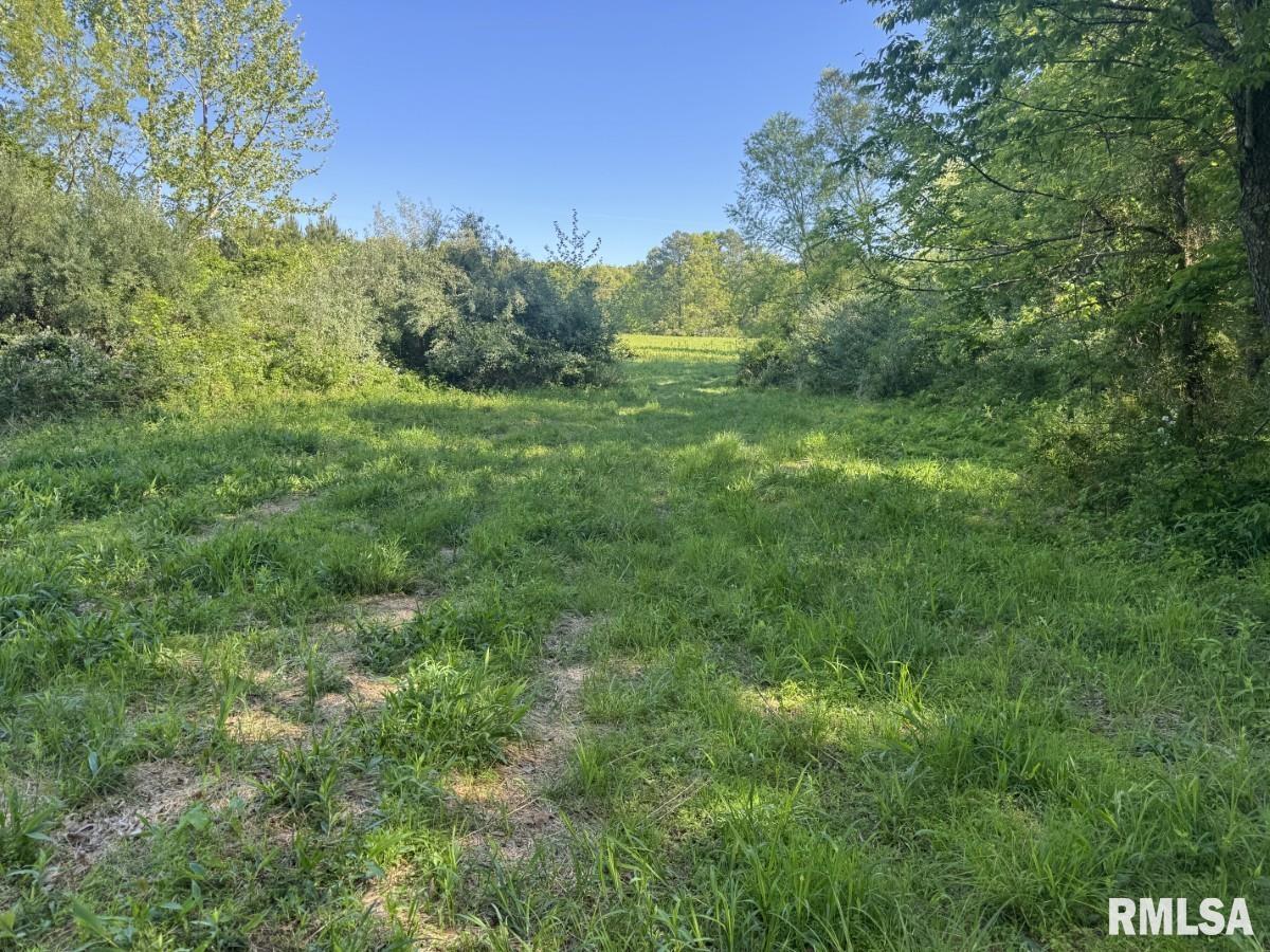 0 Herrin Road Carterville, IL 62918 - Photo 6 of 23