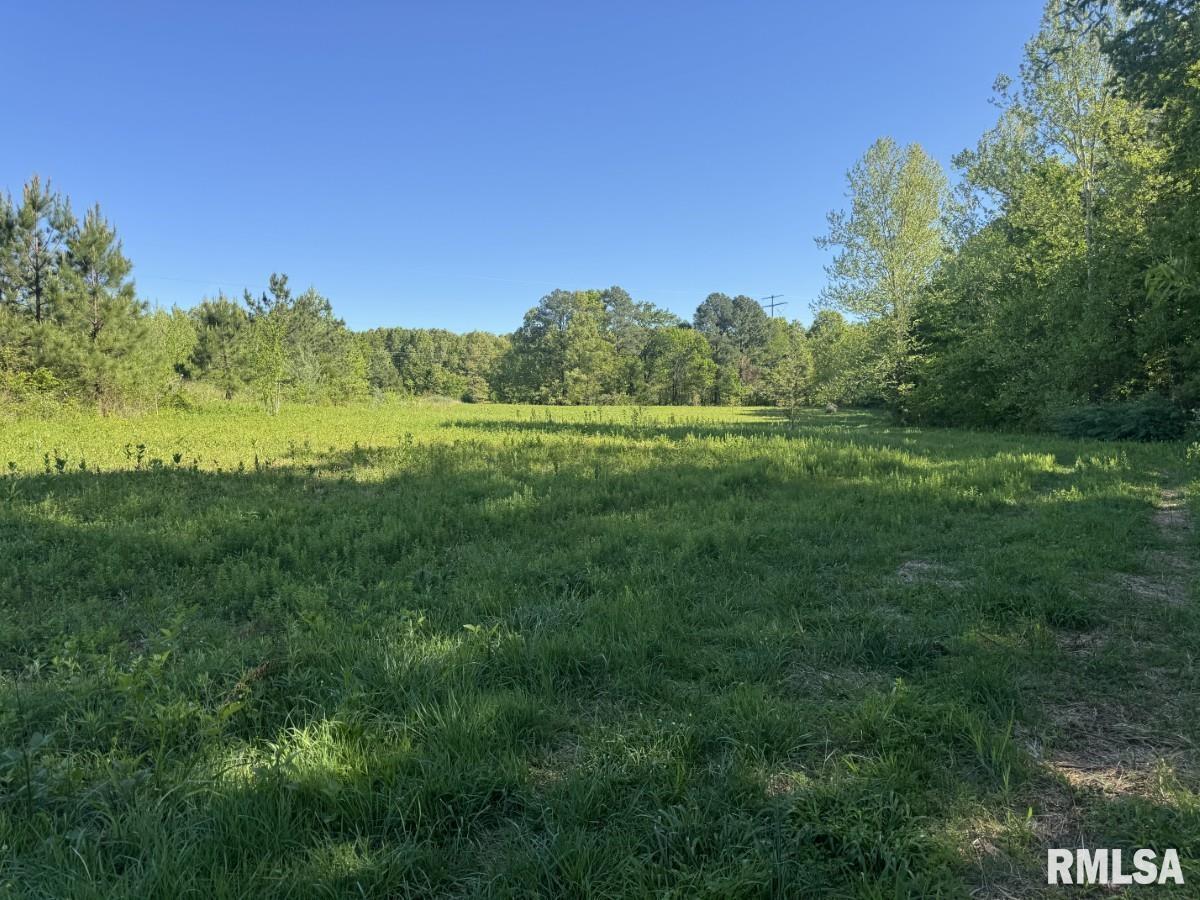 0 Herrin Road Carterville, IL 62918 - Photo 7 of 23
