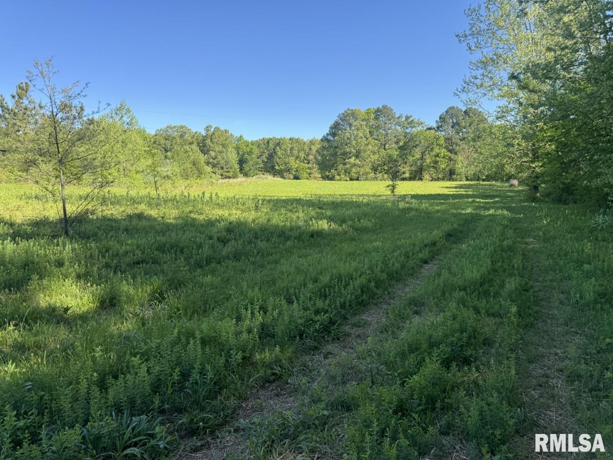 0 Herrin Road Carterville, IL 62918 - Photo 8 of 23