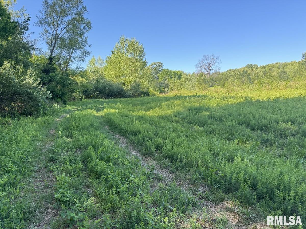 0 Herrin Road Carterville, IL 62918 - Photo 9 of 23