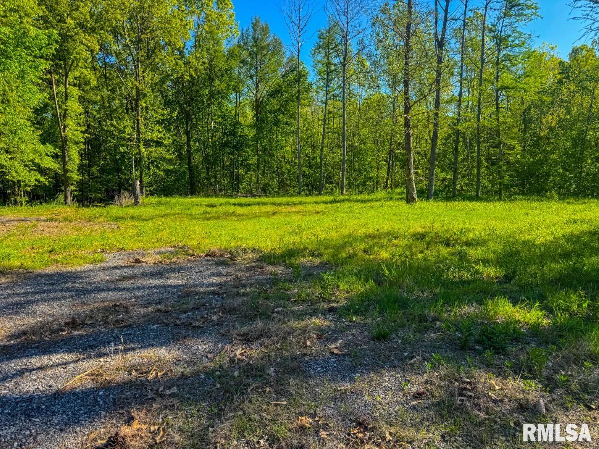 0 Herrin Road Carterville, IL 62918 - Photo 10 of 23