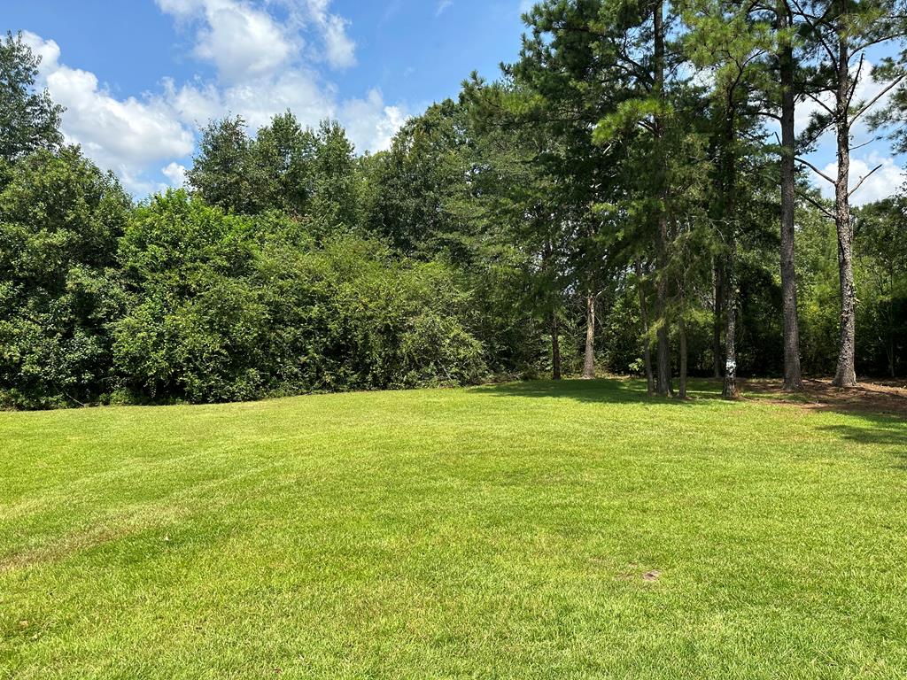 4205 Prevatt Road Cowarts, AL 36321 - Photo 47 of 48