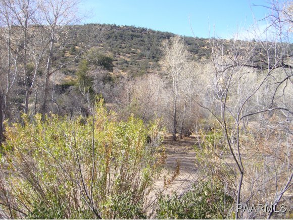 0 Walters Road Skull Valley, AZ 86338 - Photo 2 of 15 Beautiful Vegetation