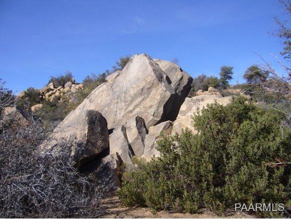 0 Walters Road Skull Valley, AZ 86338 - Photo 5 of 15 Boulders with Petroglyphs