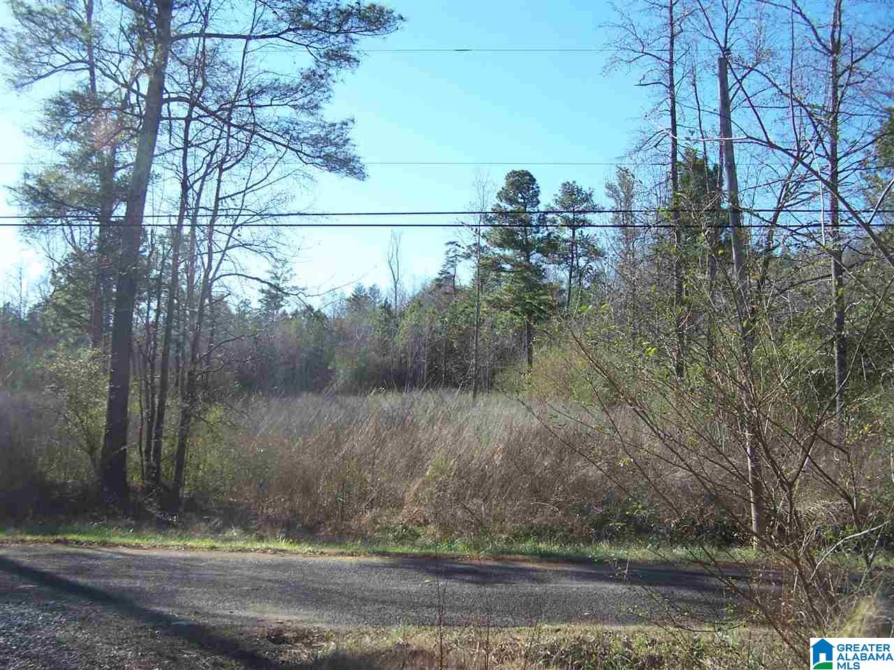 4136 Powder Mill Road Mount Olive, AL 35117 - Photo 7 of 10