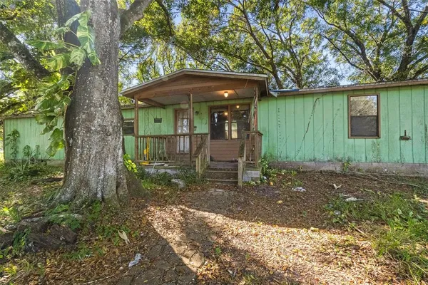 a view of a backyard with a tree