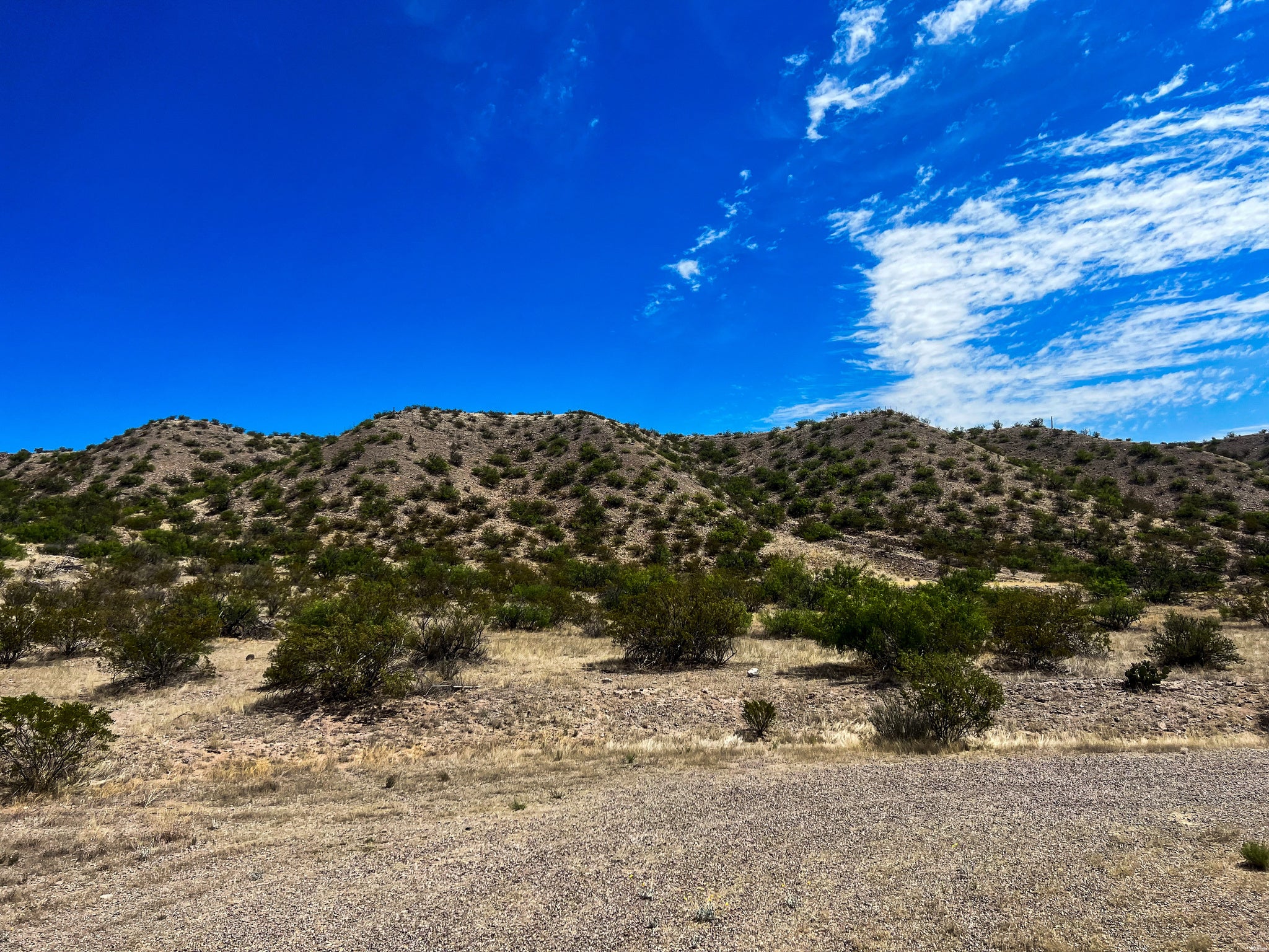 81 Berrenda Road Hillsboro, NM 88042 - Photo 3 of 52 Gallery Image 3