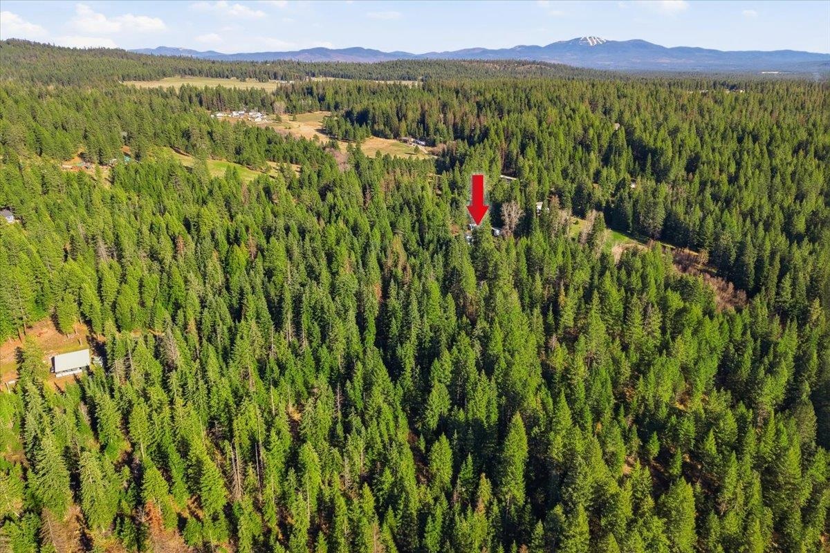 2541 Nicholson Road Elk, WA 99009 - Photo 34 of 36 Gallery Image 34