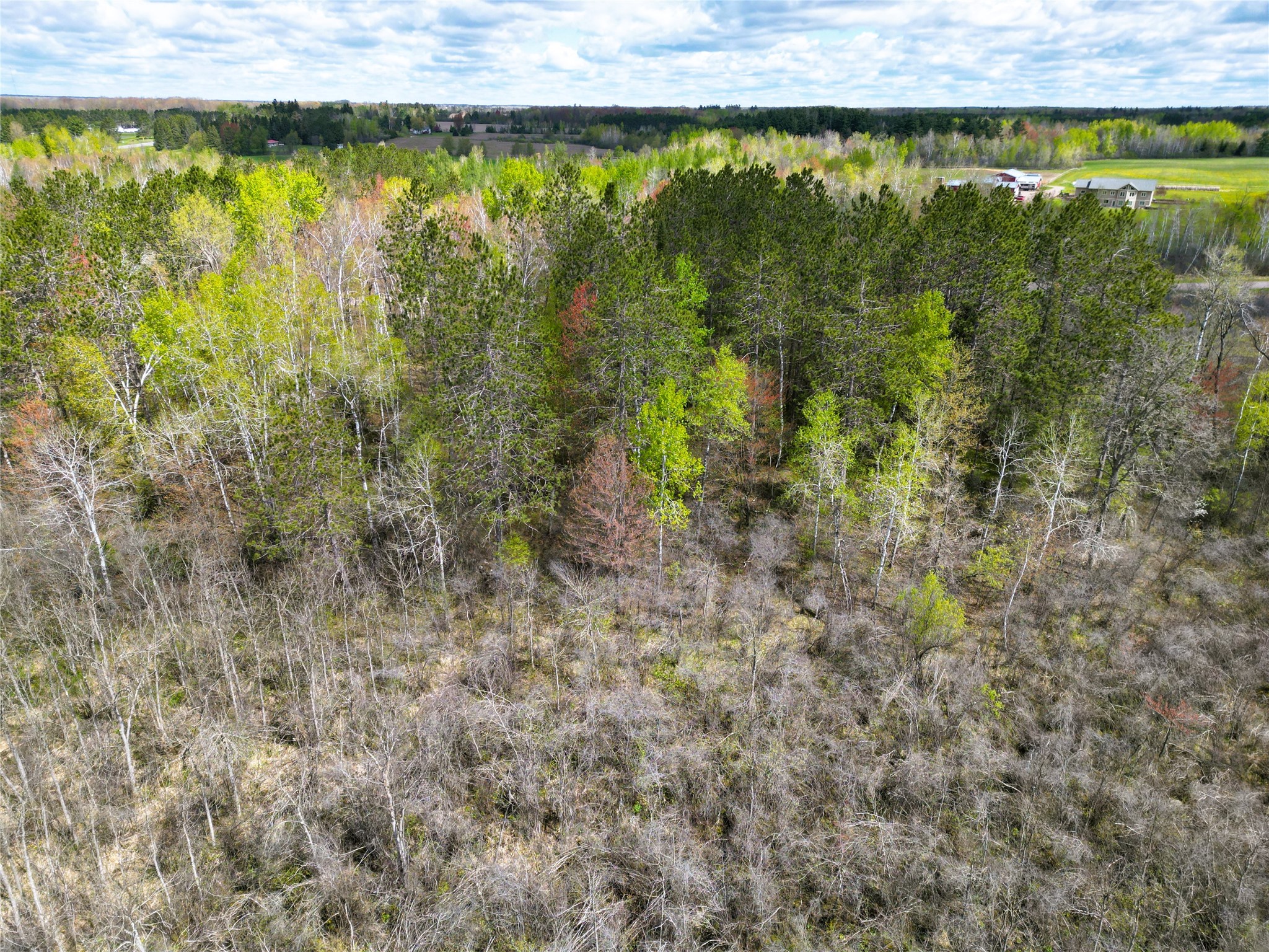 36.5-acres East Cedarbrook Road Ladysmith, WI 54848 - Photo 13 of 18