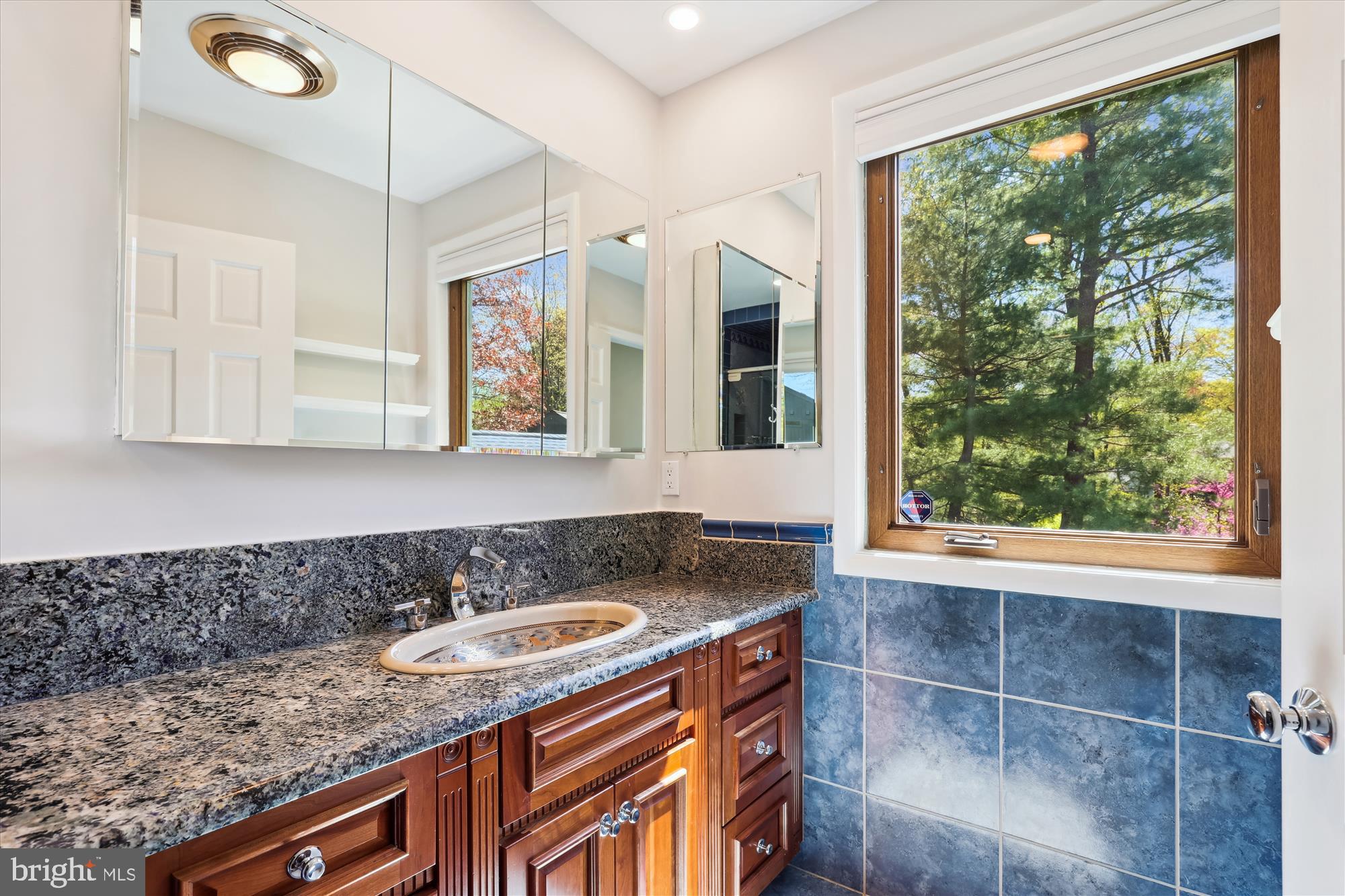 11805 Blue Spruce Road Reston, VA 20191 - Photo 21 of 48 Primary Bathroom, first of two