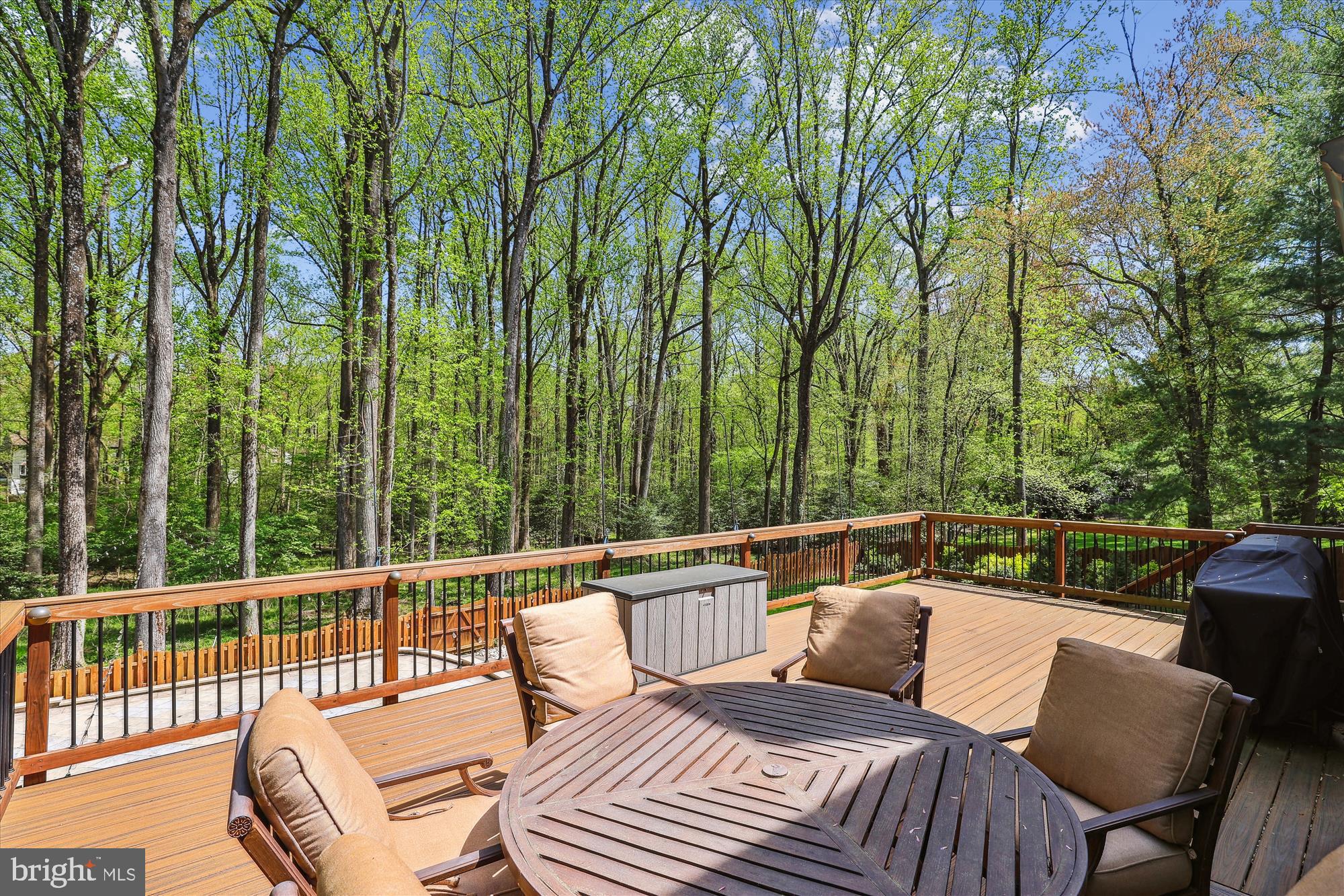 11805 Blue Spruce Road Reston, VA 20191 - Photo 3 of 48 Just enjoy the view. Every single day!
