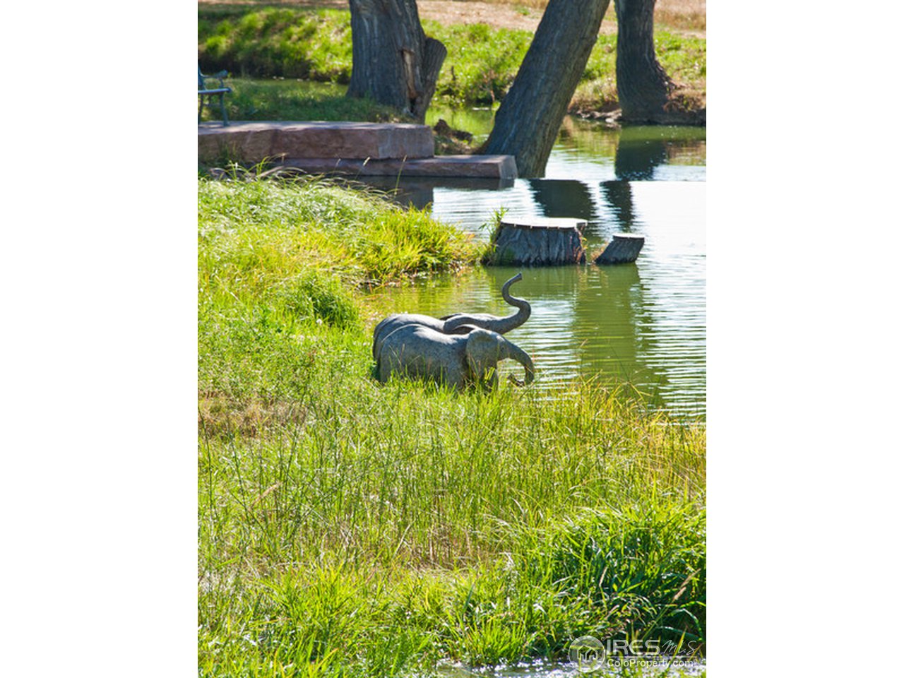 0 Hygiene Road Longmont, CO 80503 - Photo 4 of 6 Gallery Image 4