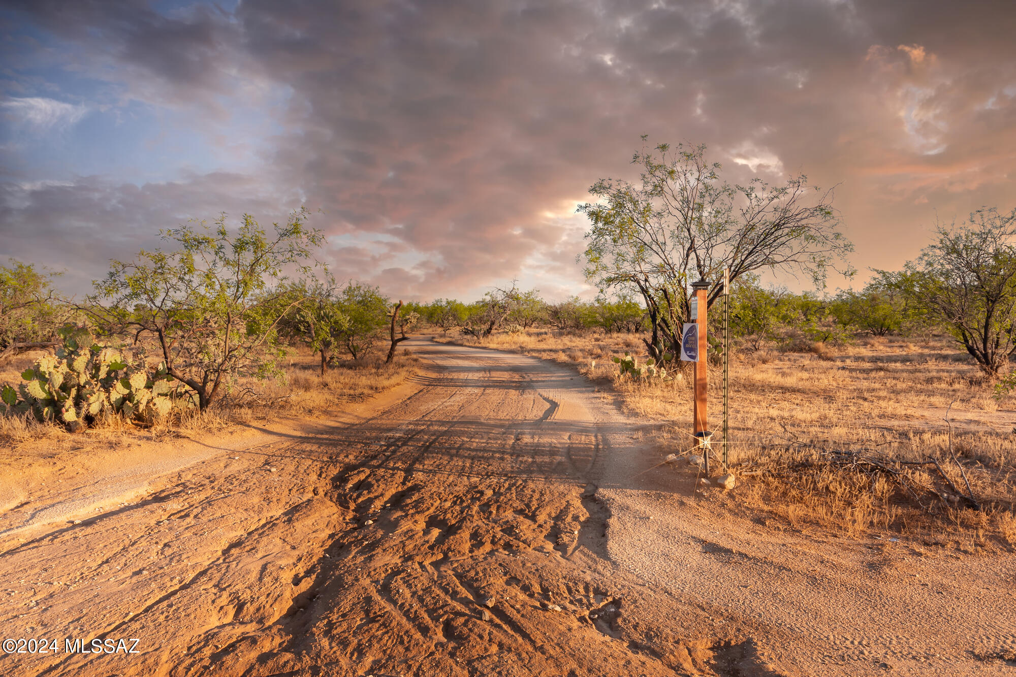 12351 South Coleman Road Tucson, AZ 85735 - Photo 39 of 50 Gallery Image 39