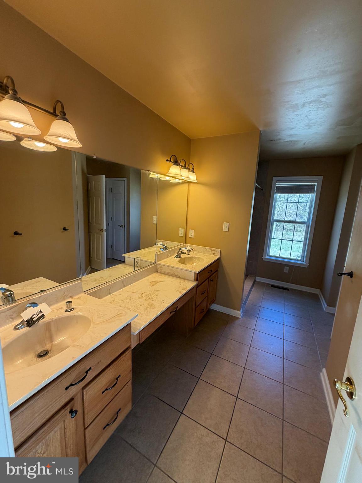 8617 Portsville Road Laurel, DE 19956 - Photo 12 of 47 a bathroom with a sink a vanity and a mirror