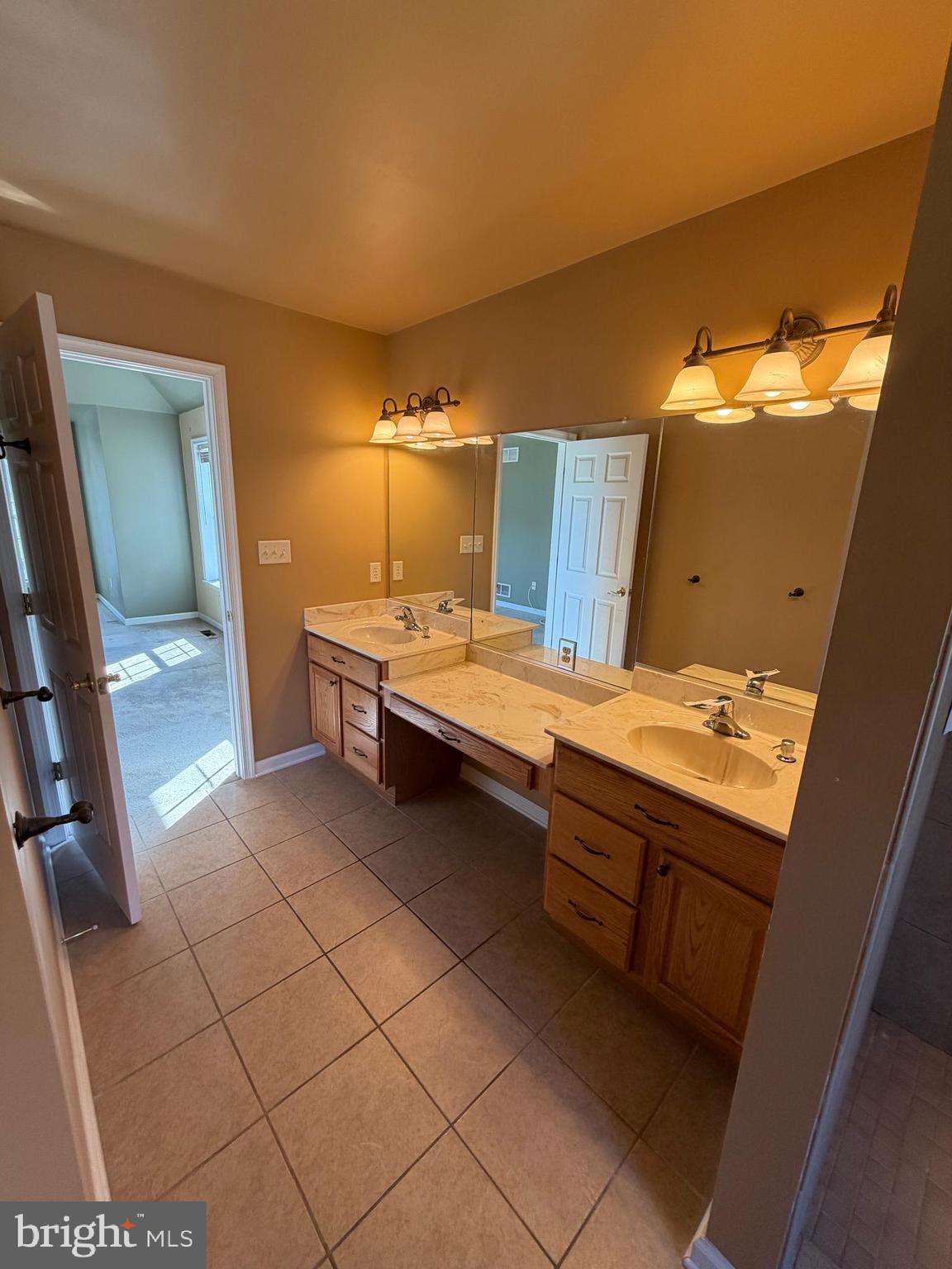 8617 Portsville Road Laurel, DE 19956 - Photo 14 of 47 a bathroom with a sink and a mirror