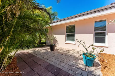 a view of a backyard with plants