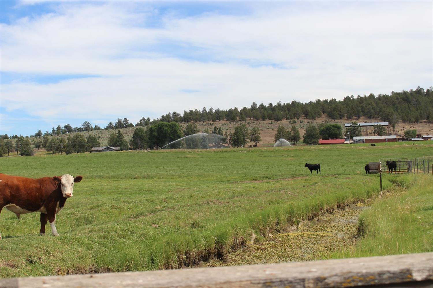 3286 East Langell Valley Road Bonanza, OR 97623 - Photo 12 of 22 Additional Photo