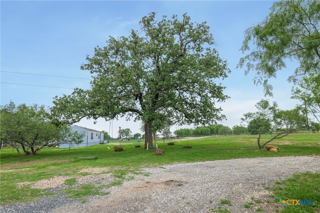 6497 Taylorsville Road Dale, TX 78616 - Photo 36 of 36 a view of a park with tree s
