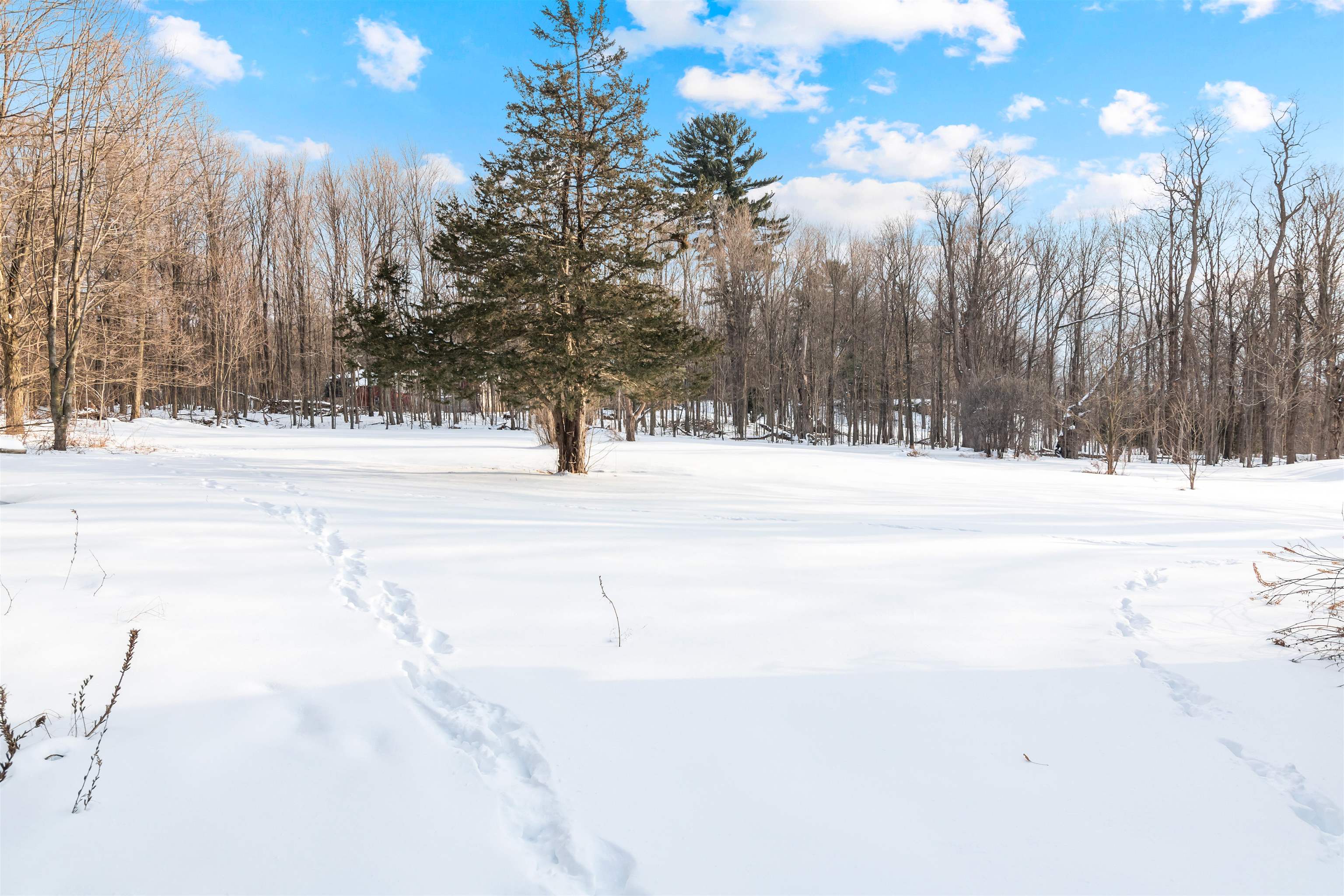 481 St Albans Road Swanton, VT 05488 - Photo 54 of 58