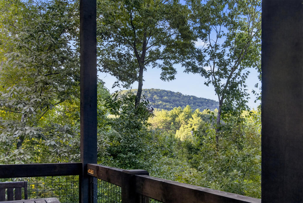 78 Deer Crest Road Blue Ridge, GA 30513 - Photo 2 of 80 Gallery Image 2