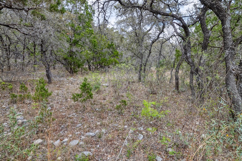 430 Frio Canyon Loop Concan, TX 78838 - Photo 4 of 55