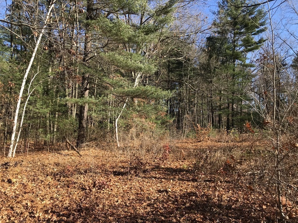 276 Buck Pond Road Westfield, MA 01085 - Photo 19 of 24 Gallery Image 19