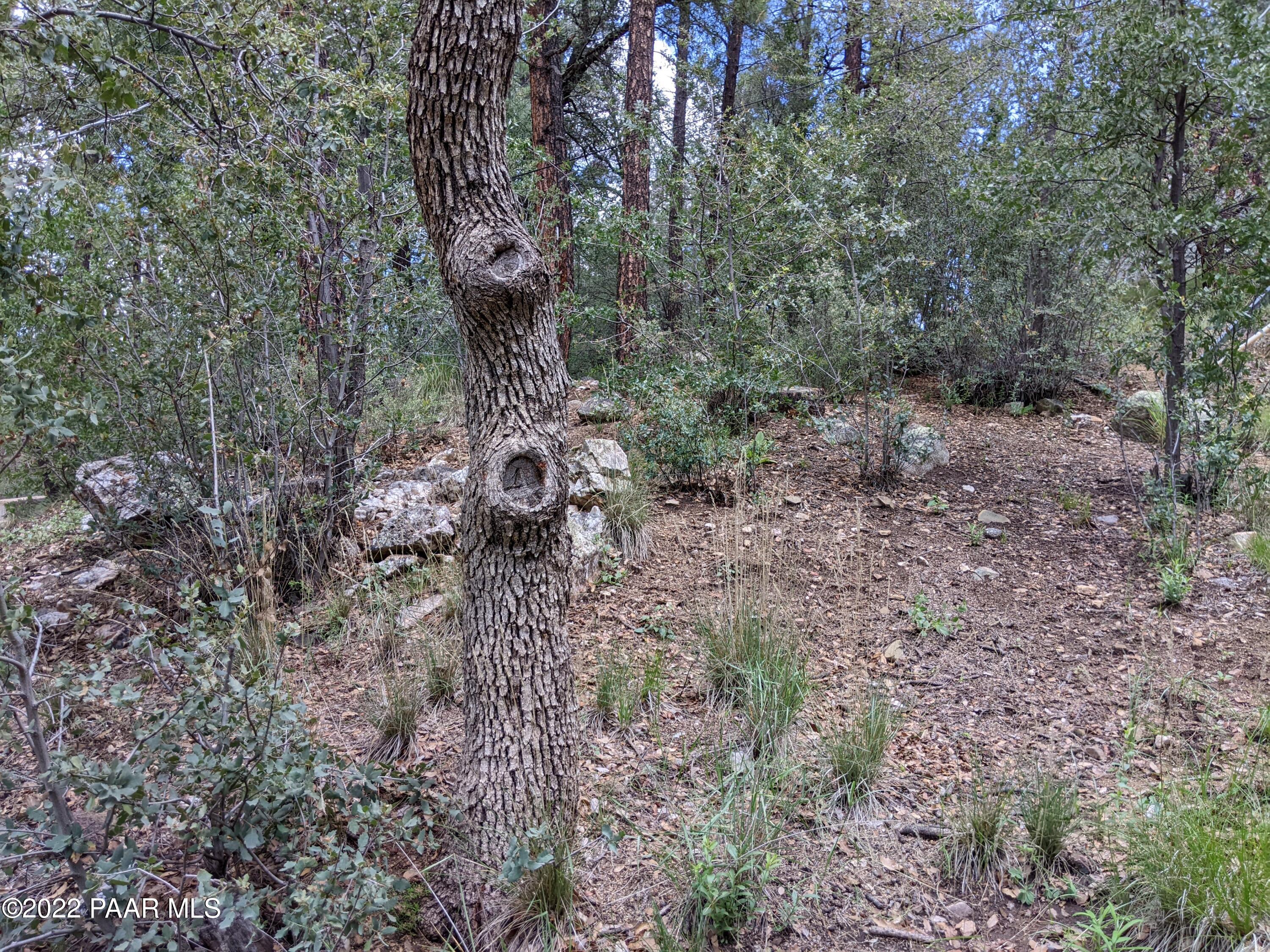 4939 South Kaibab Road Prescott, AZ 86303 - Photo 50 of 56 Upper lot area