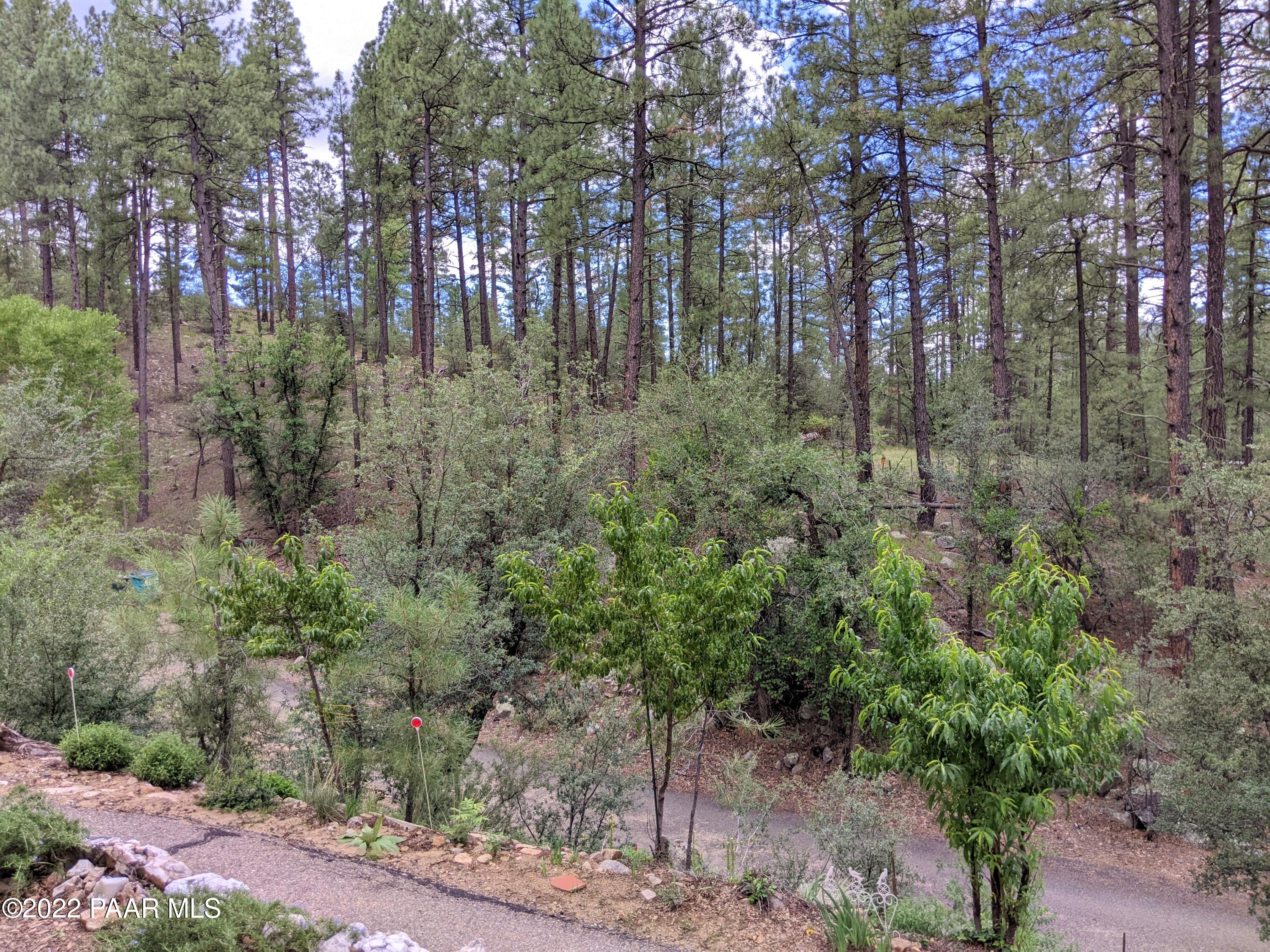 4939 South Kaibab Road Prescott, AZ 86303 - Photo 56 of 56 National Forest